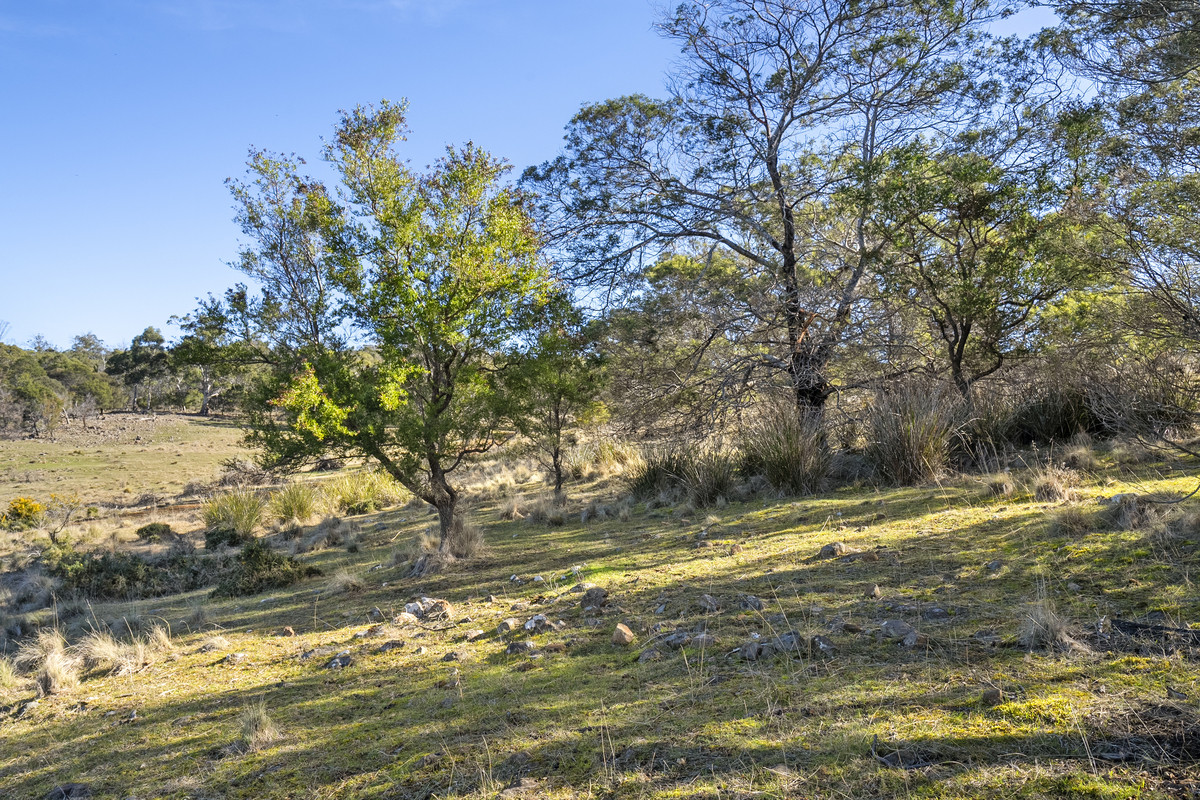 2 Young Street, Swansea, TAS, 7190 - Image 5