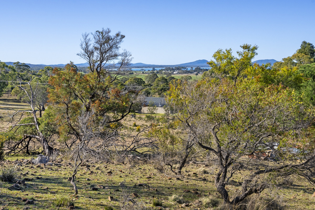 2 Young Street, Swansea, TAS, 7190 - Image 10