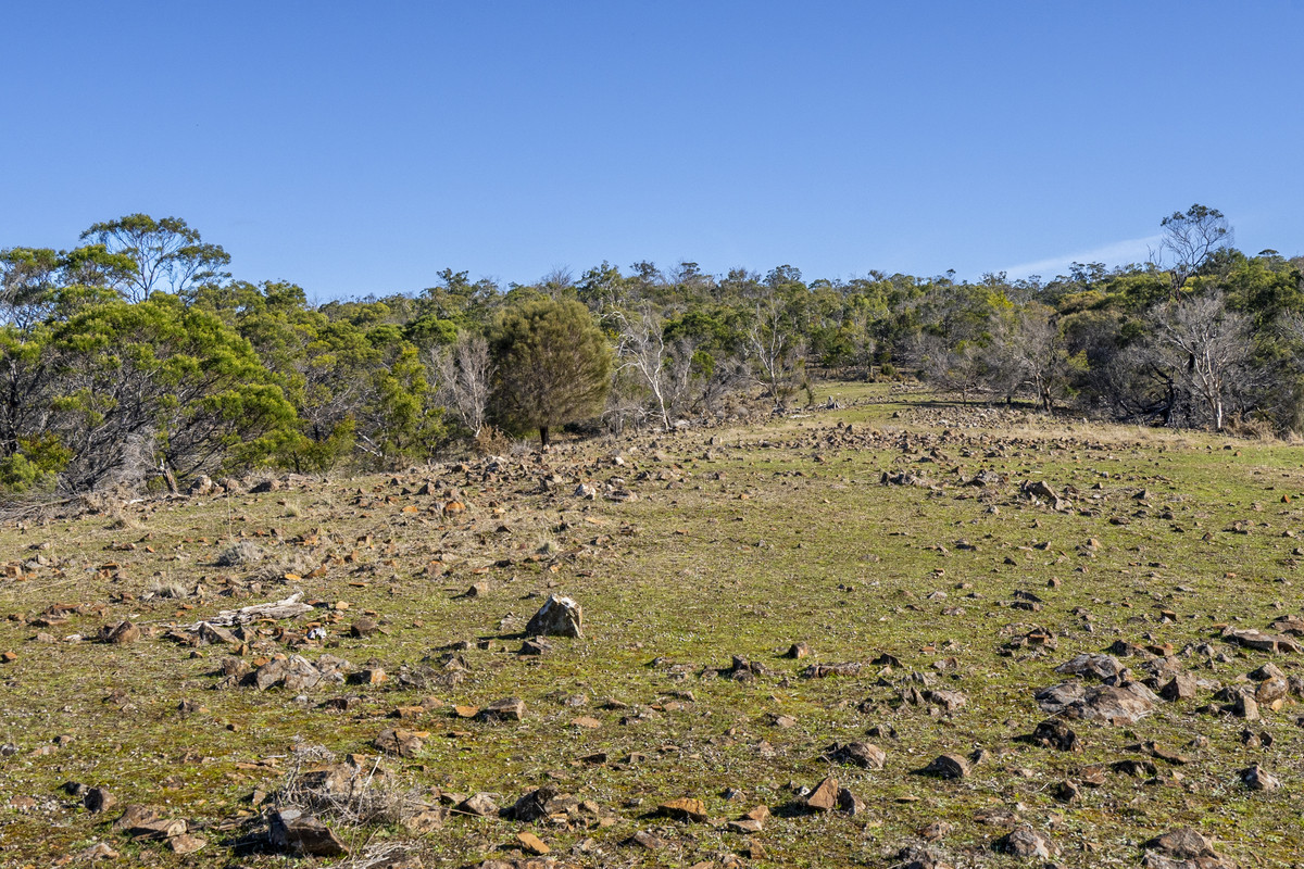 2 Young Street, Swansea, TAS, 7190 - Image 9