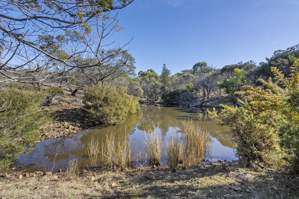 2 Young Street, Swansea, TAS, 7190 - Image 11