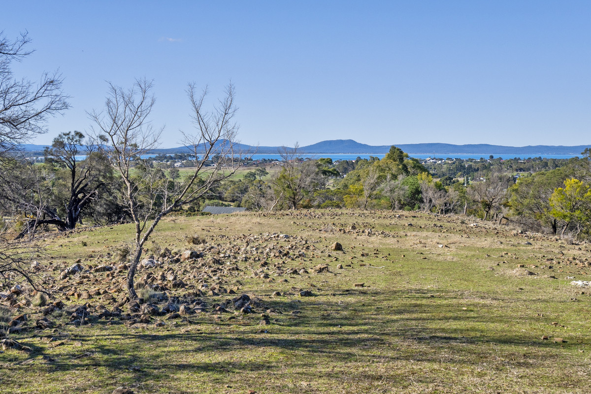 2 Young Street, Swansea, TAS, 7190 - Image 3