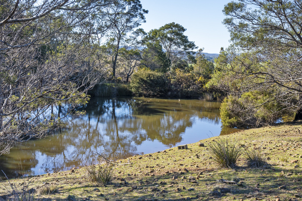 2 Young Street, Swansea, TAS, 7190 - Image 12