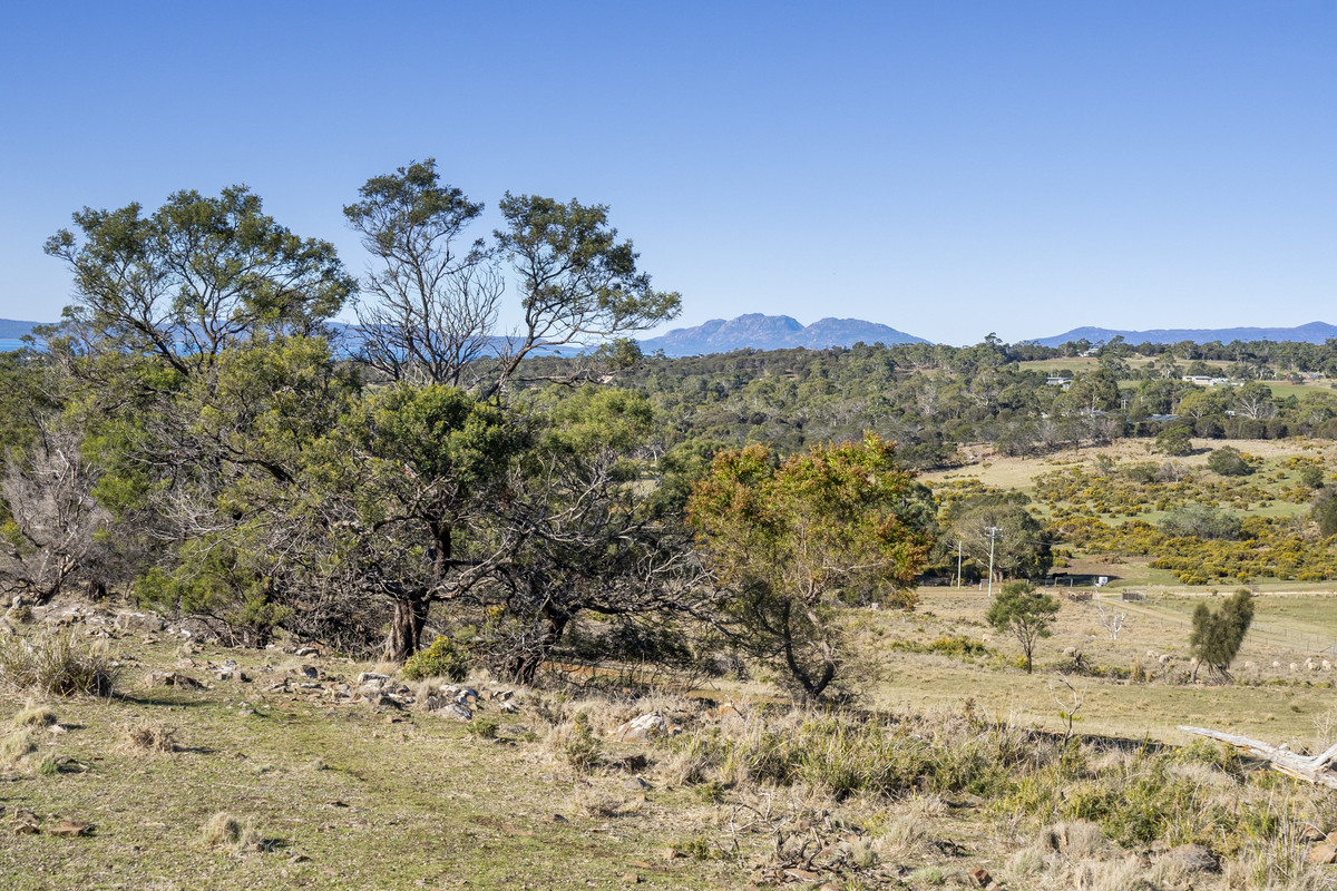 2 Young Street, Swansea, TAS, 7190 - Image 17