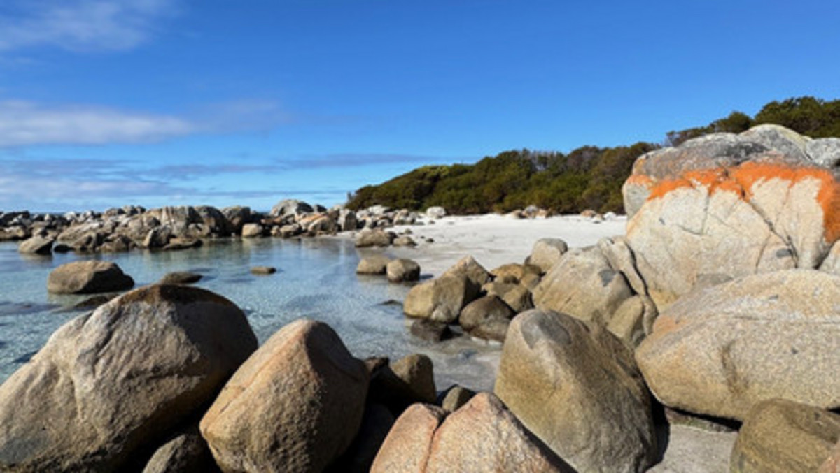 1282 Gardens Road, The Gardens, TAS, 7216 - Image 3