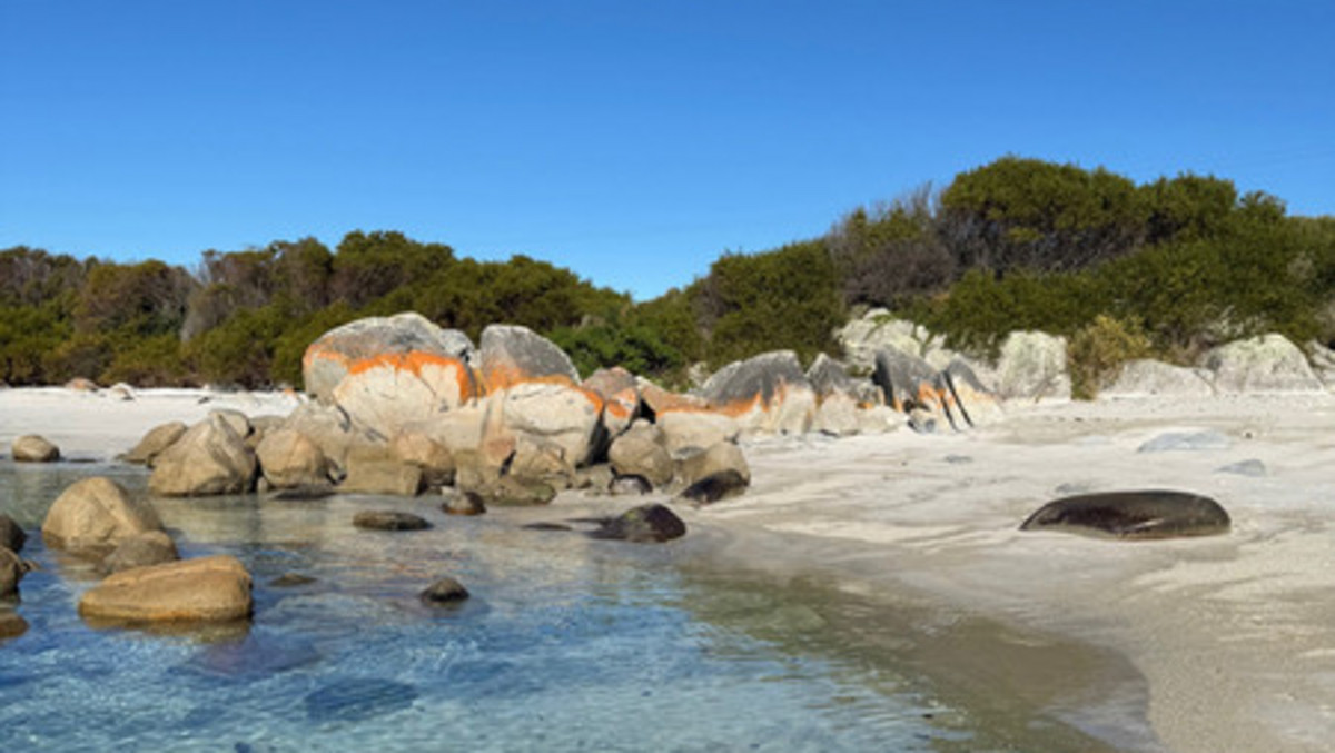 1282 Gardens Road, The Gardens, TAS, 7216 - Image 6