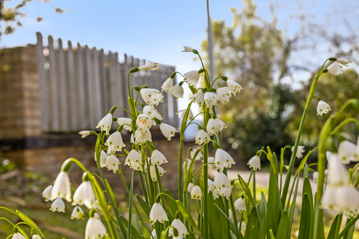 2/22-22a Summerhill Road, West Hobart, TAS, 7000 - Image 18