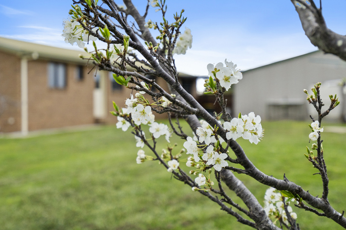 4 Burgess Street, Swansea, TAS, 7190 - Image 21