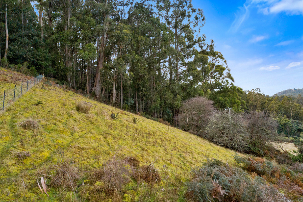 1/1360 Huon Road, Neika, TAS, 7054 - Image 10