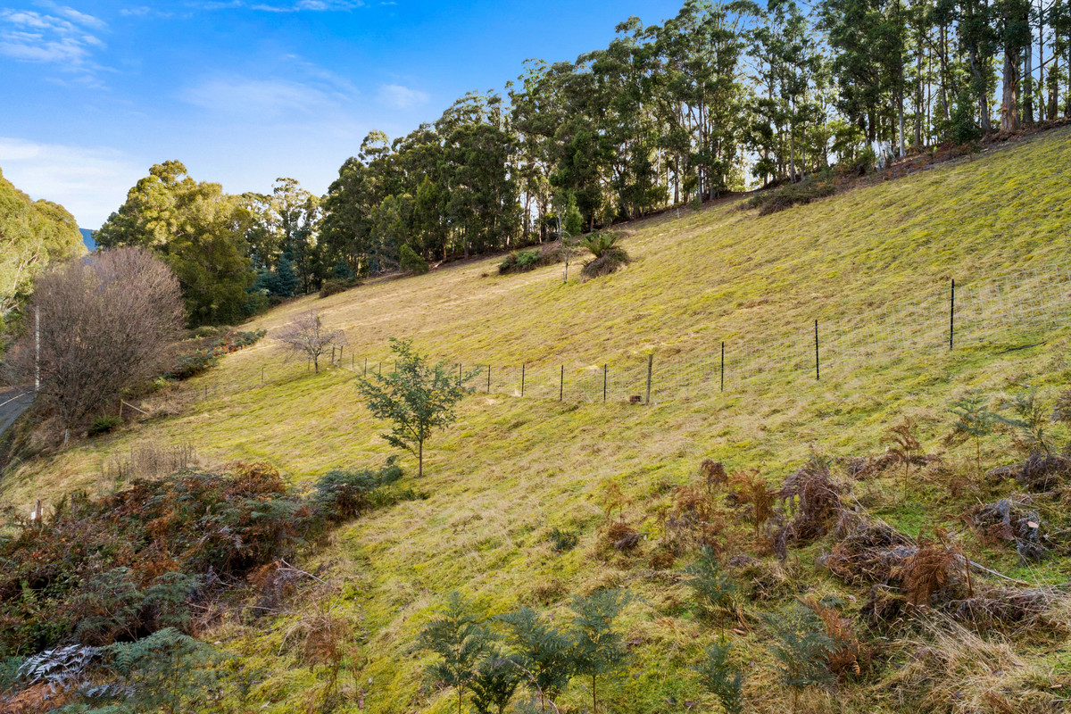 1/1360 Huon Road, Neika, TAS, 7054 - Image 11