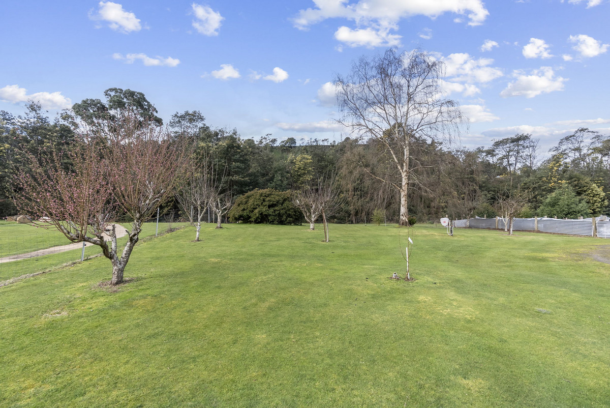 37 Main Street, Derby, TAS, 7264 - Image 3
