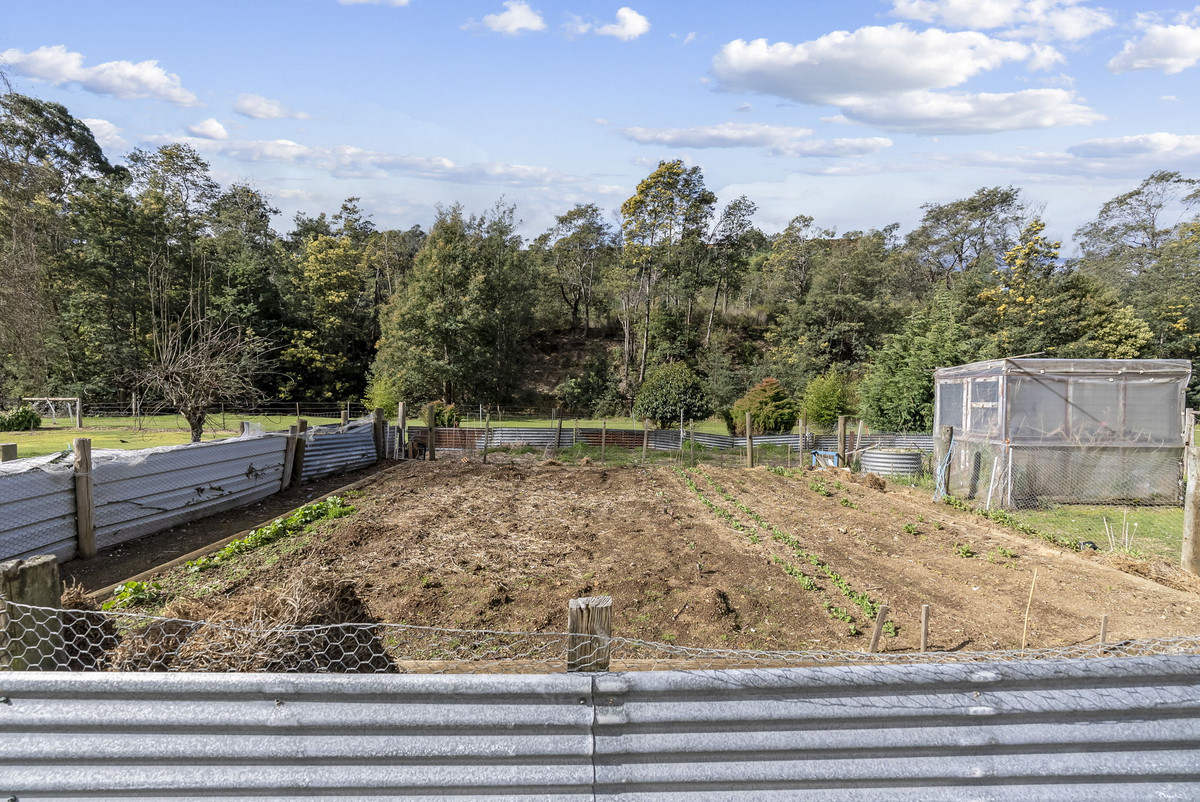 37 Main Street, Derby, TAS, 7264 - Image 26