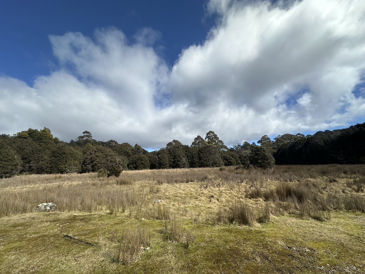 12627 Highland Lakes Road, Golden Valley, TAS, 7304 - Image 17