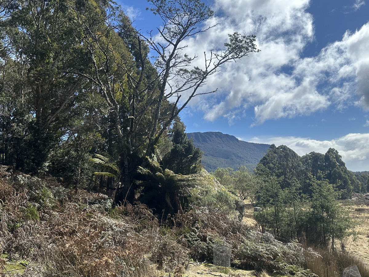 12627 Highland Lakes Road, Golden Valley, TAS, 7304 - Image 14