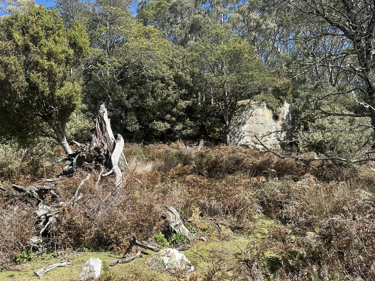 12627 Highland Lakes Road, Golden Valley, TAS, 7304 - Image 15