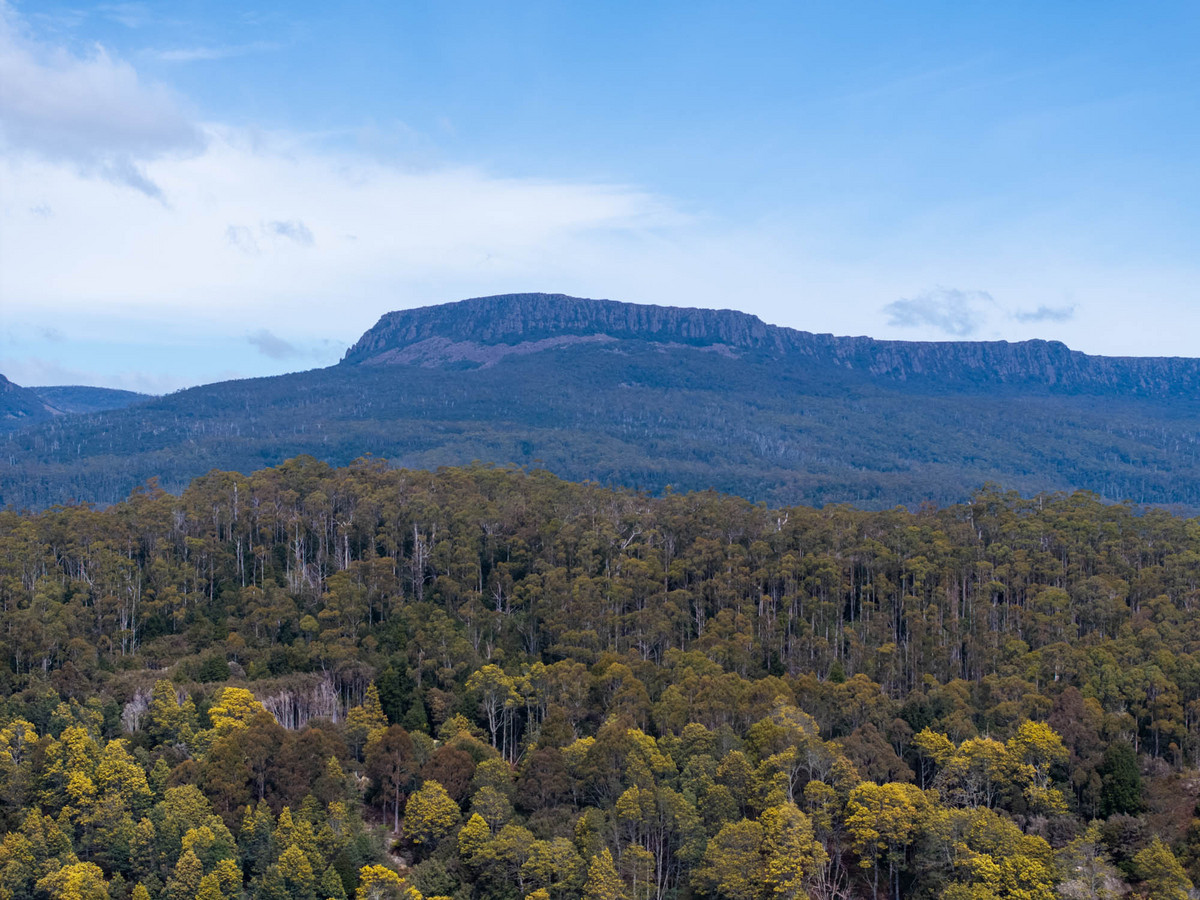 12627 Highland Lakes Road, Golden Valley, TAS, 7304 - Image 20