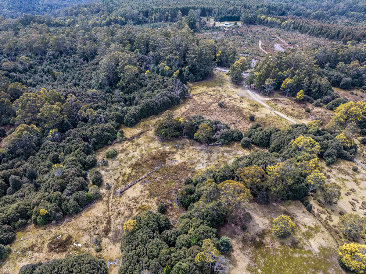 12627 Highland Lakes Road, Golden Valley, TAS, 7304 - Image 21