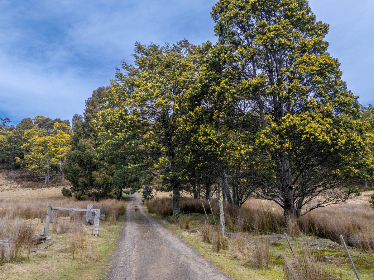 12627 Highland Lakes Road, Golden Valley, TAS, 7304 - Image 2