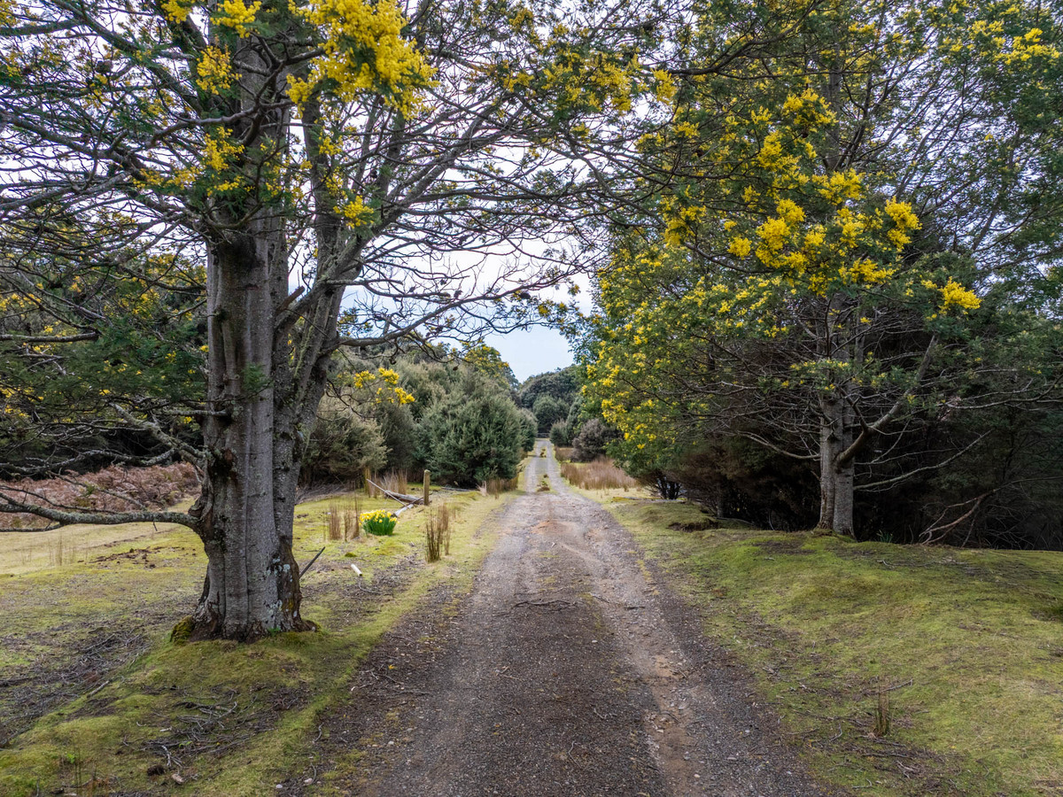 12627 Highland Lakes Road, Golden Valley, TAS, 7304 - Image 3