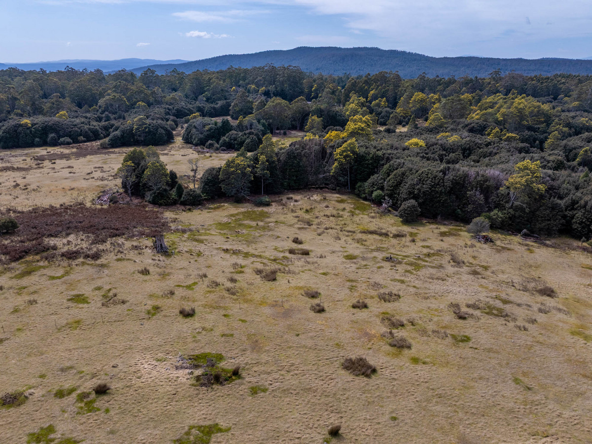 12627 Highland Lakes Road, Golden Valley, TAS, 7304 - Image 8