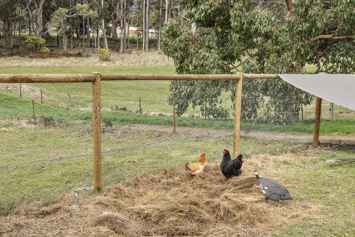 109 Crabtree Road, Grove, TAS, 7109 - Image 28