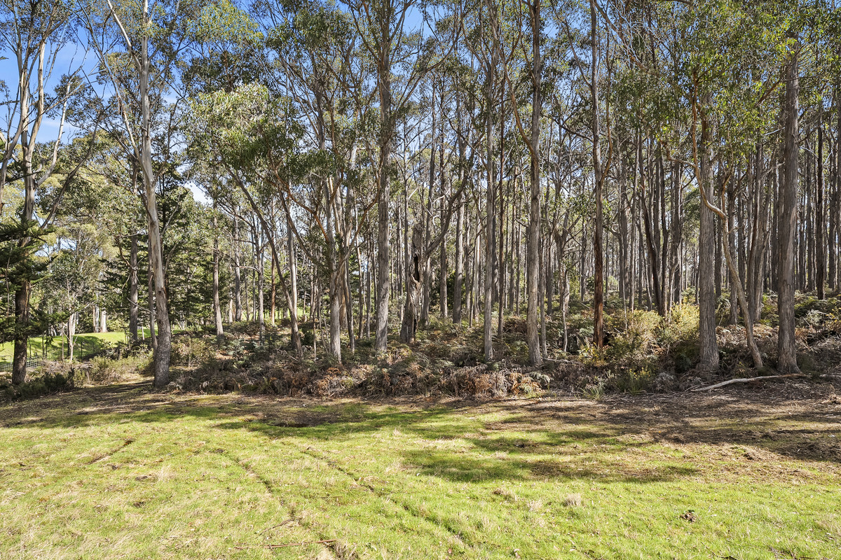 109 Crabtree Road, Grove, TAS, 7109 - Image 33