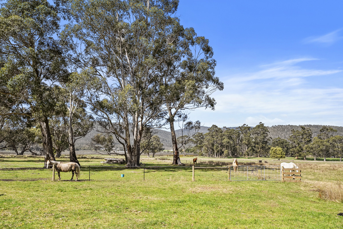 109 Crabtree Road, Grove, TAS, 7109 - Image 32