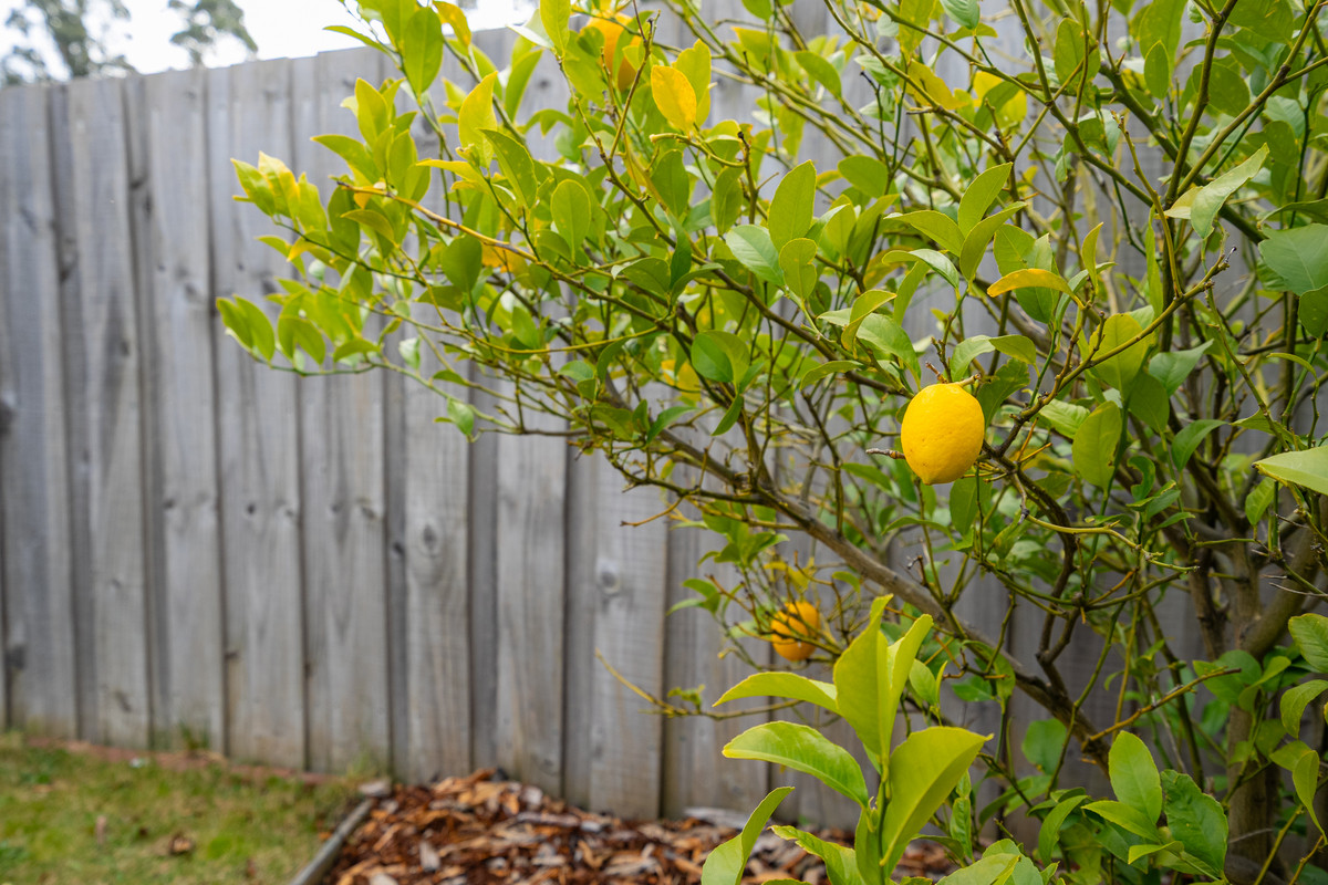337 Redwood Road, Kingston, TAS, 7050 - Image 25