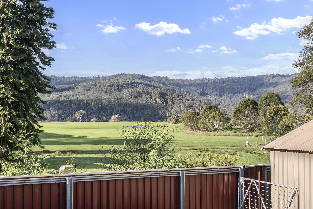 155 New River Road, Ringarooma, TAS, 7263 - Image 24