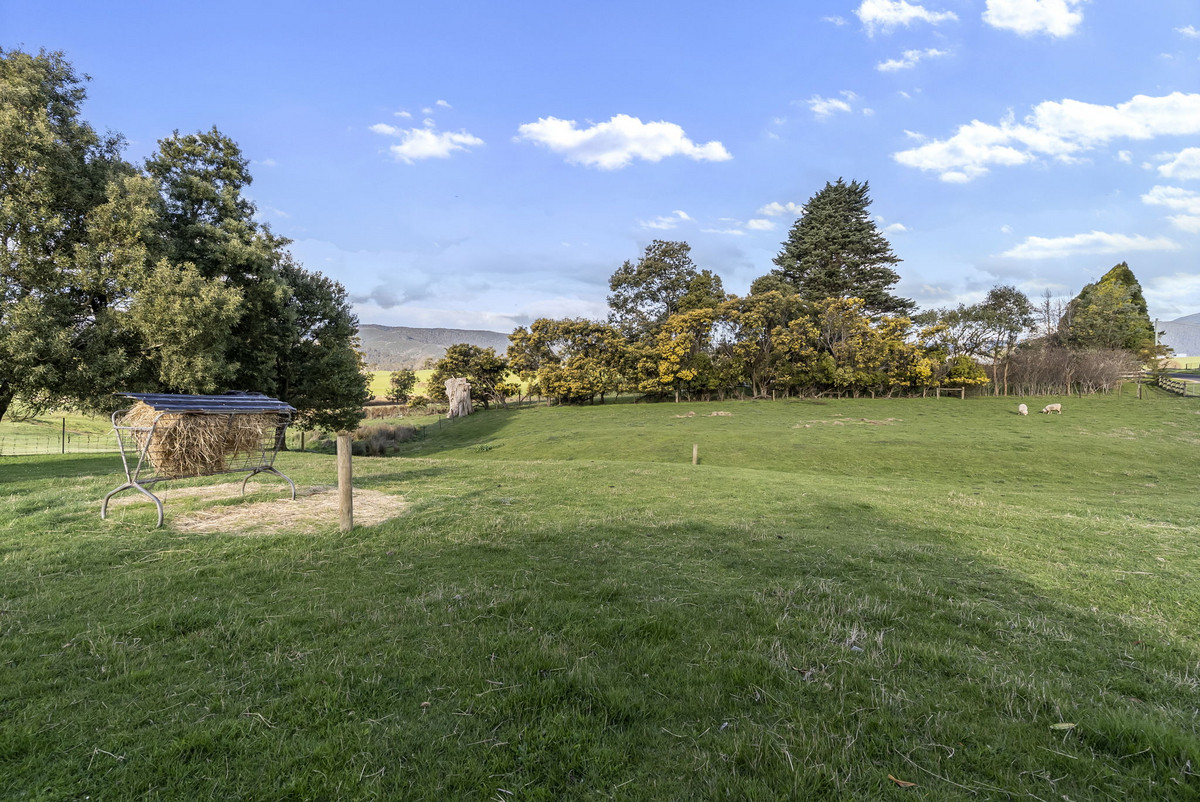 155 New River Road, Ringarooma, TAS, 7263 - Image 3