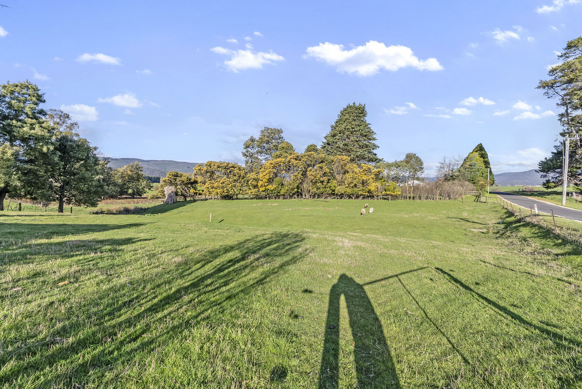 155 New River Road, Ringarooma, TAS, 7263 - Image 26