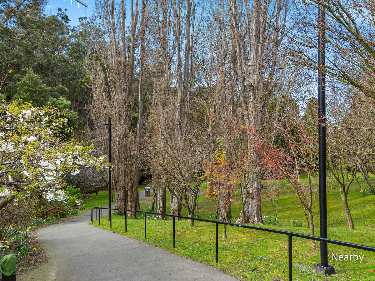 10A Elboden Street, South Hobart, TAS, 7004 - Image 12
