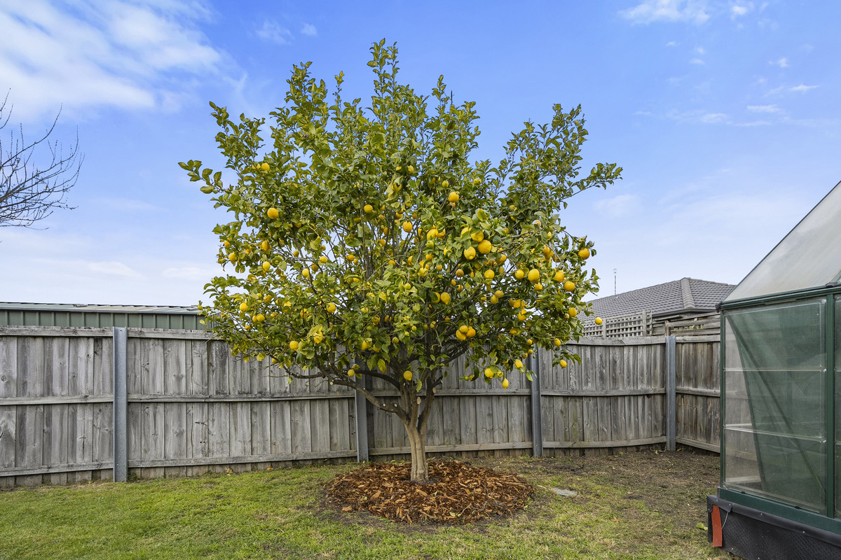11 Jacaranda Drive, Margate, TAS, 7054 - Image 29
