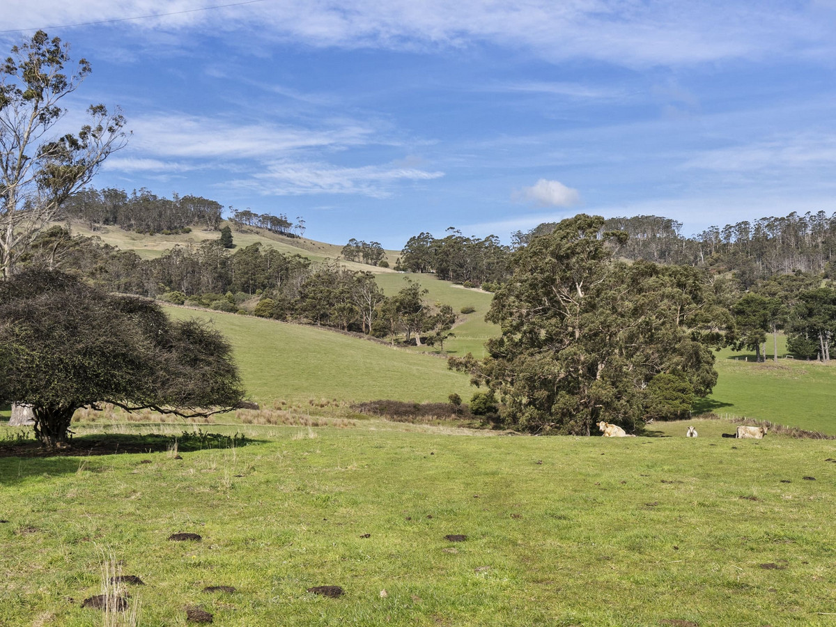 406 Kellevie Road, Kellevie, TAS, 7176 - Image 15