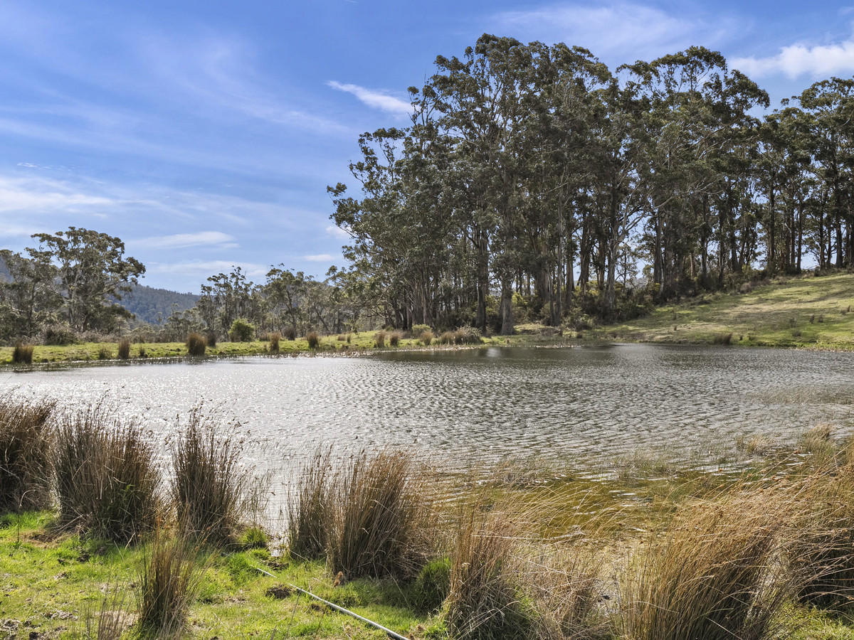 406 Kellevie Road, Kellevie, TAS, 7176 - Image 17