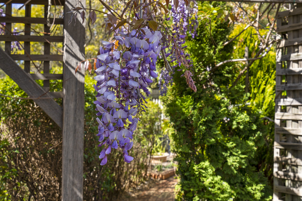 6 Waterloo Road, Swansea, TAS, 7190 - Image 33