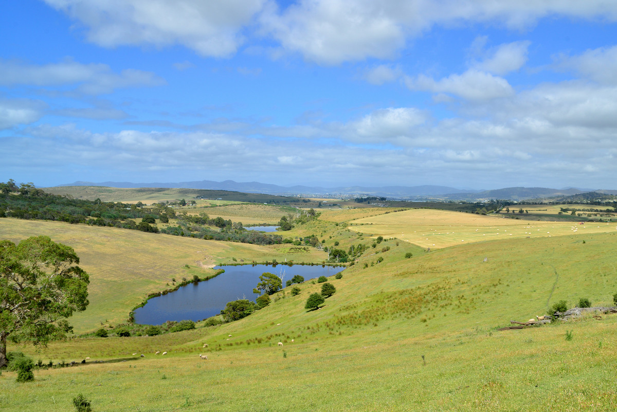 312 Nugent Road, Wattle Hill, TAS, 7172 - Image 7