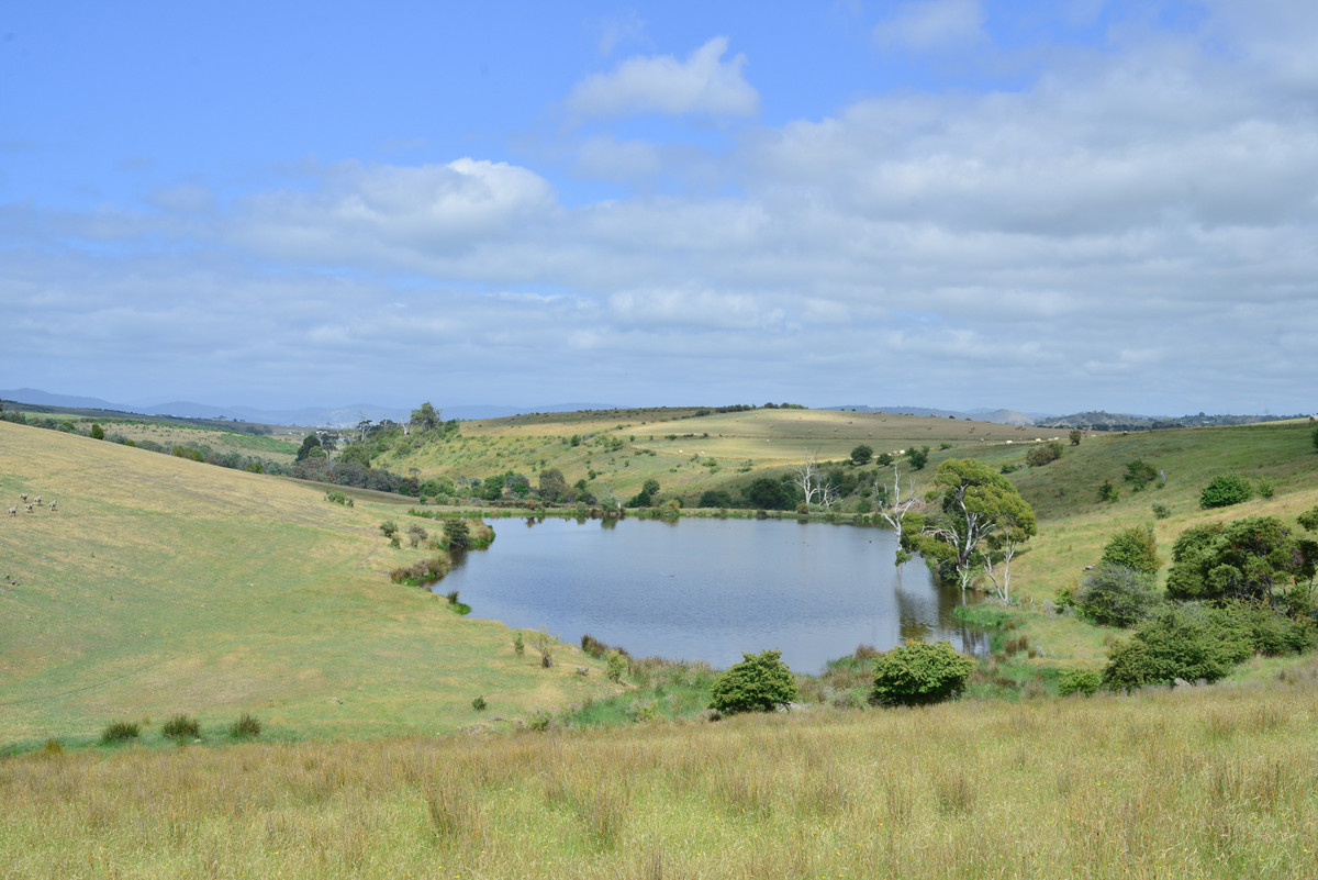 312 Nugent Road, Wattle Hill, TAS, 7172 - Image 8