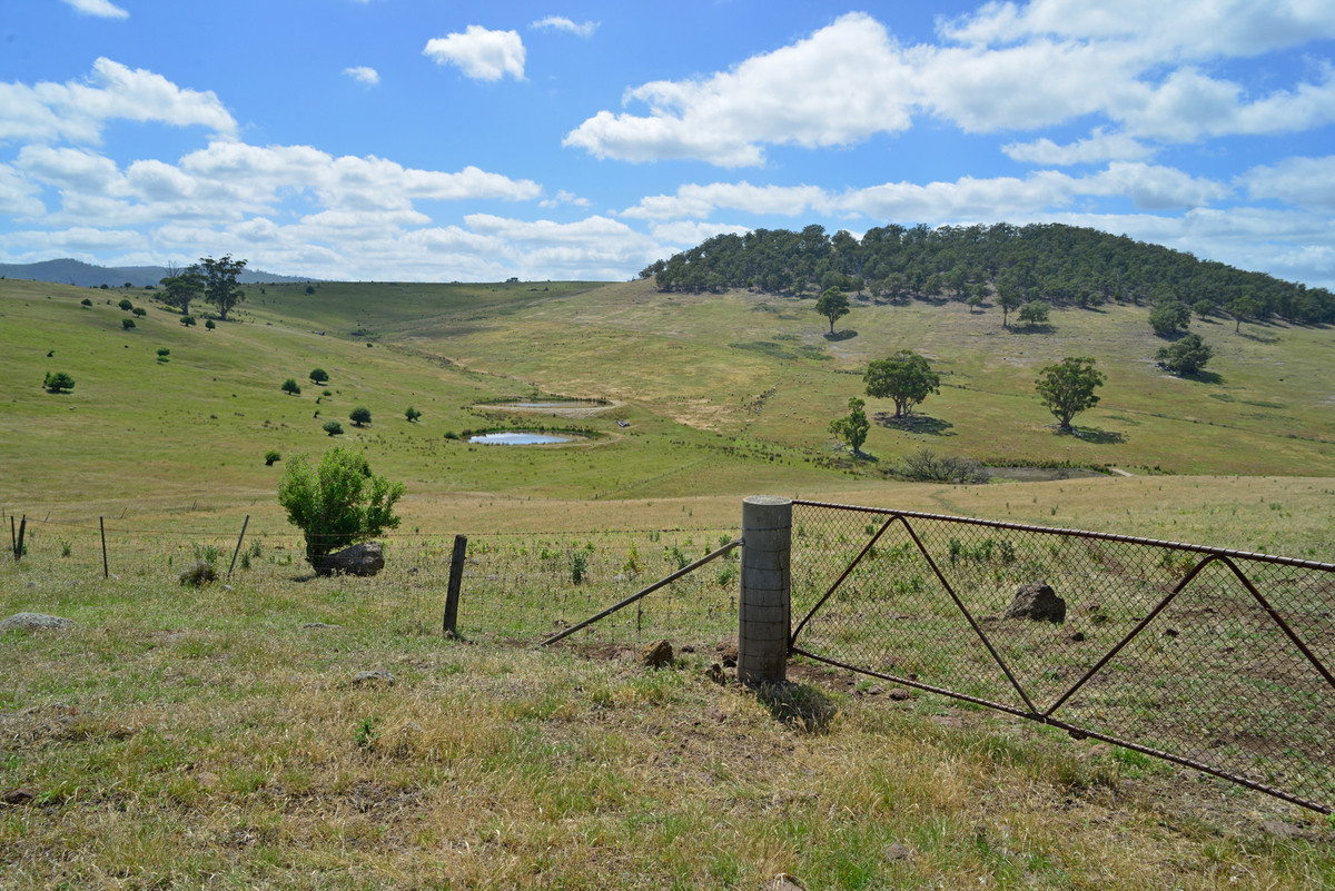 312 Nugent Road, Wattle Hill, TAS, 7172 - Image 9