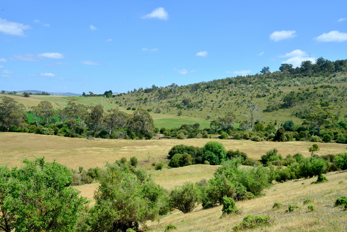 312 Nugent Road, Wattle Hill, TAS, 7172 - Image 12