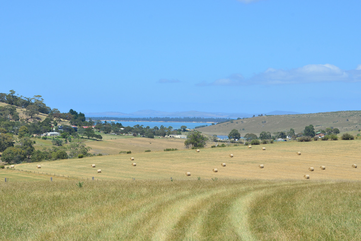 312 Nugent Road, Wattle Hill, TAS, 7172 - Image 13