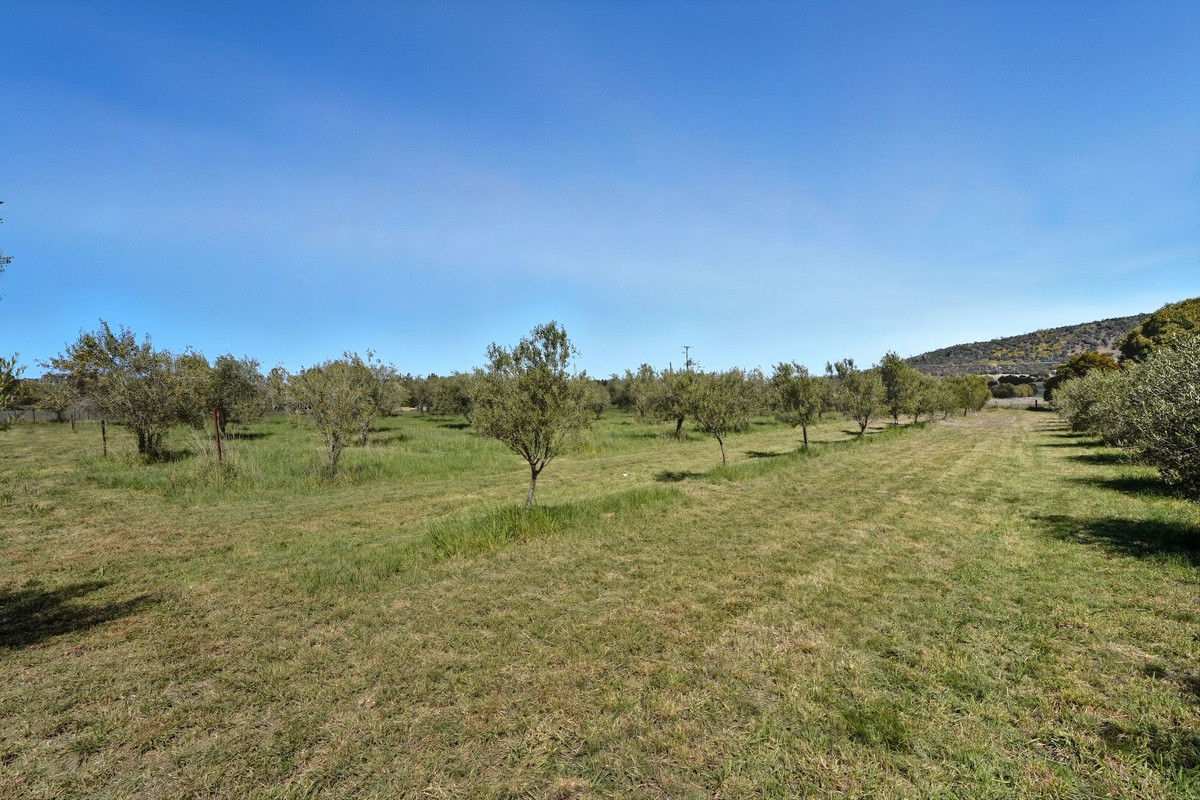 390 Penna Road, Penna, TAS, 7171 - Image 17