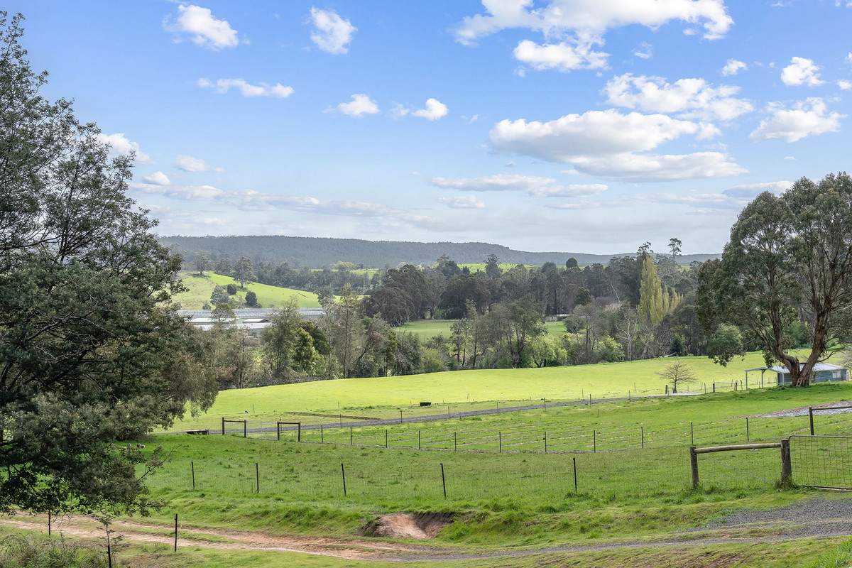 17 Pearce Street, Branxholm, TAS, 7261 - Image 26