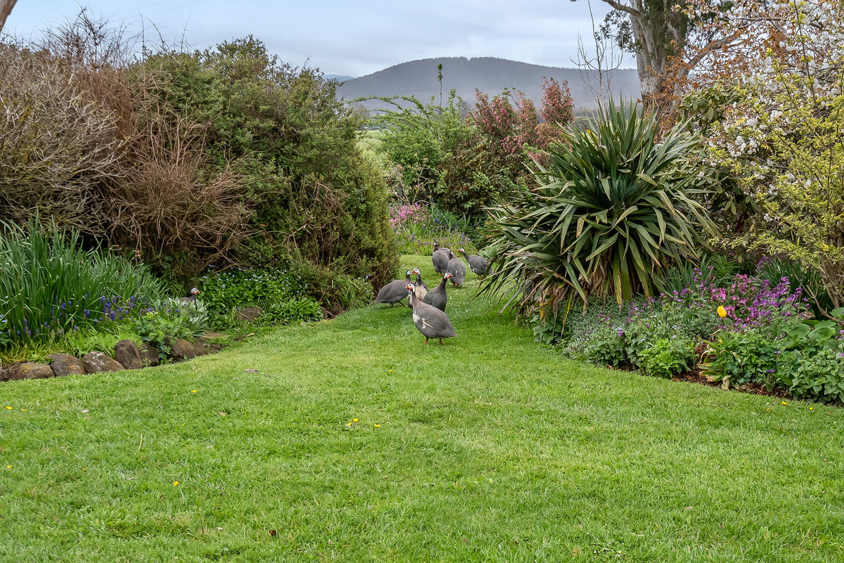 22 Peddles Road, Legerwood, TAS, 7263 - Image 22