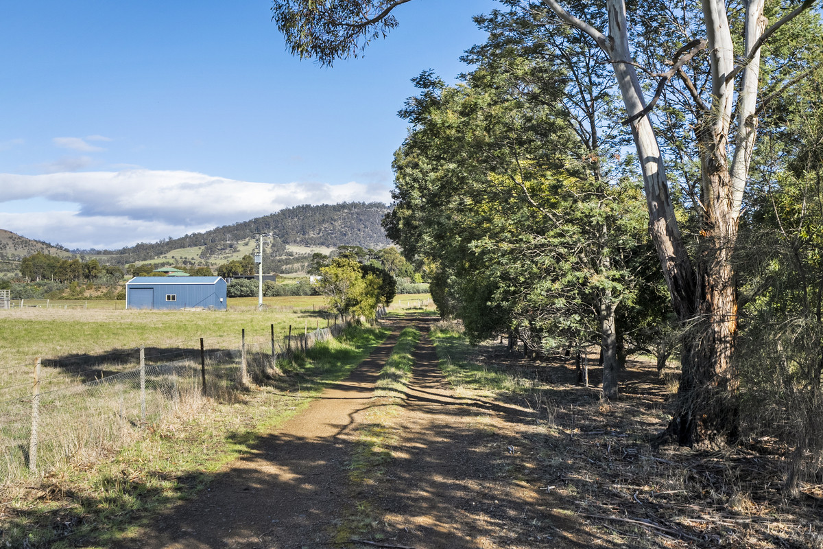 151 Prossers Road, Richmond, TAS, 7025 - Image 18