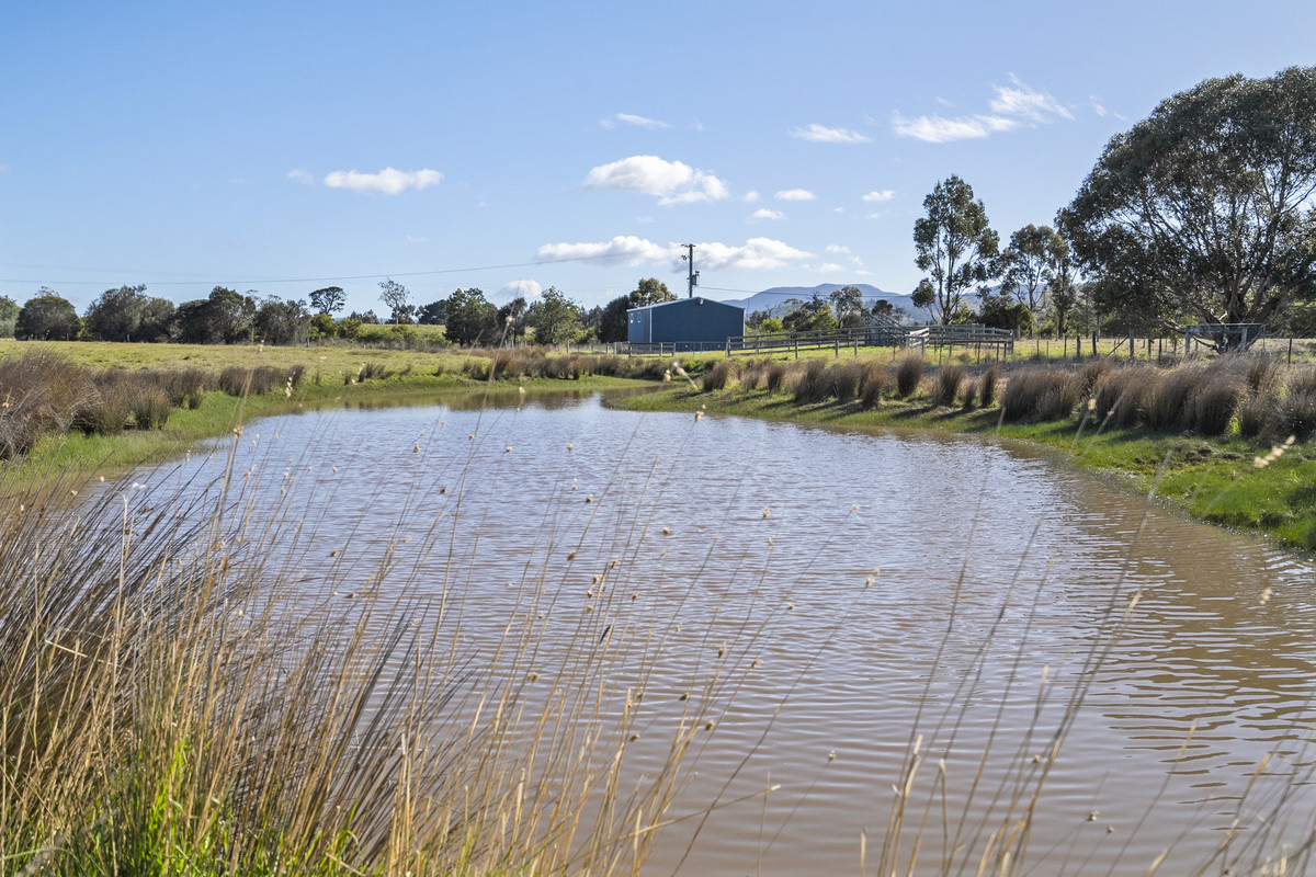 151 Prossers Road, Richmond, TAS, 7025 - Image 19