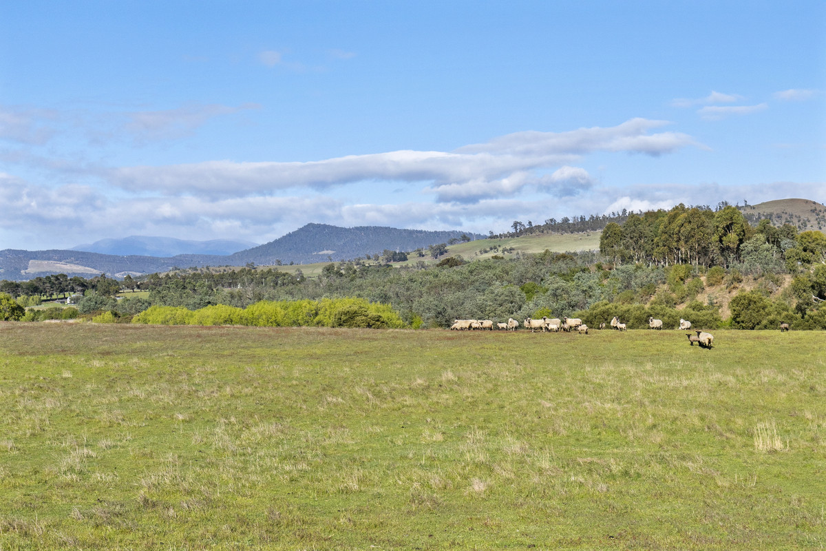 151 Prossers Road, Richmond, TAS, 7025 - Image 22