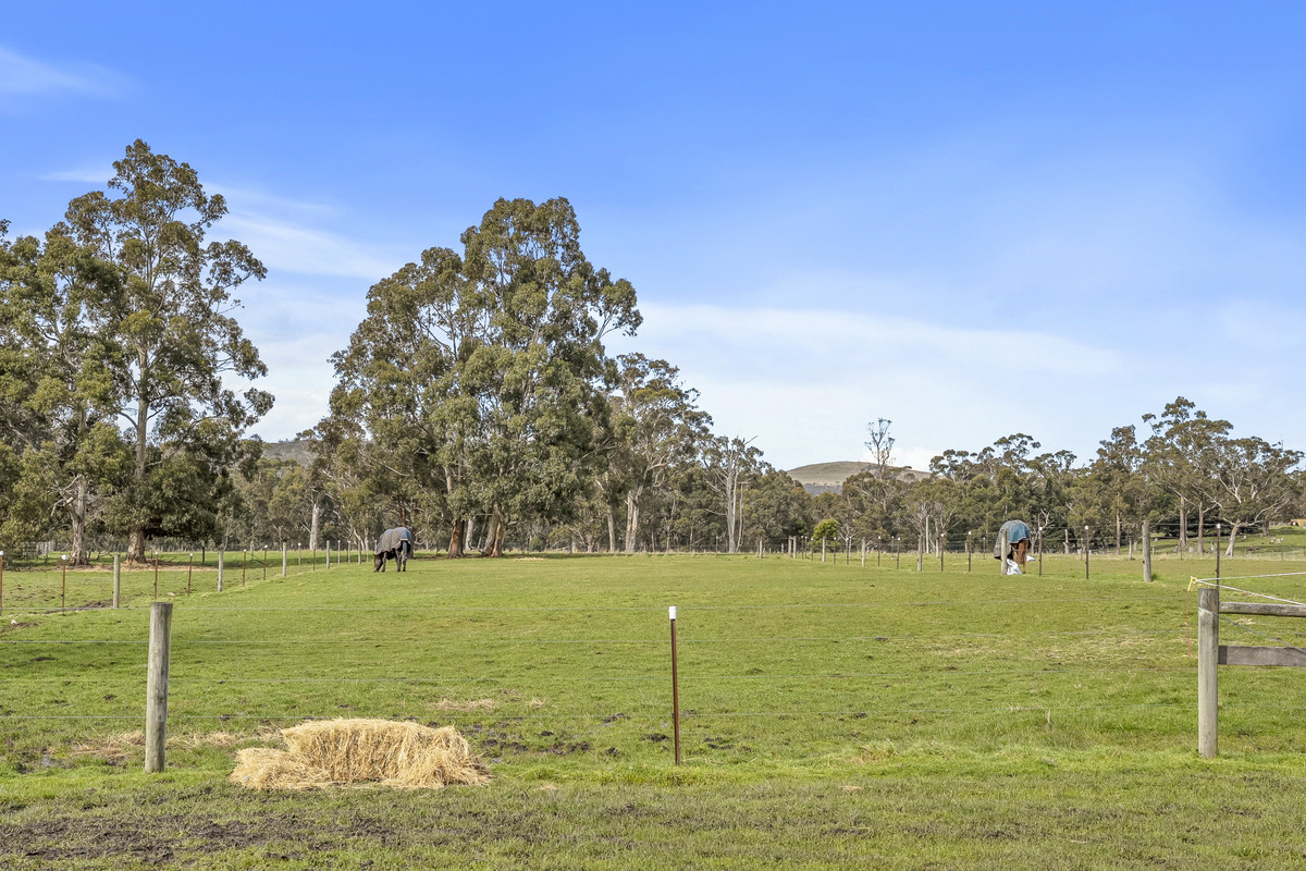 730 Sandfly Road, Sandfly, TAS, 7150 - Image 21