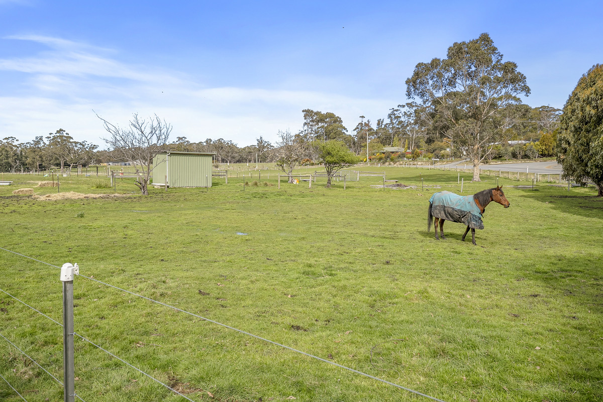 730 Sandfly Road, Sandfly, TAS, 7150 - Image 22