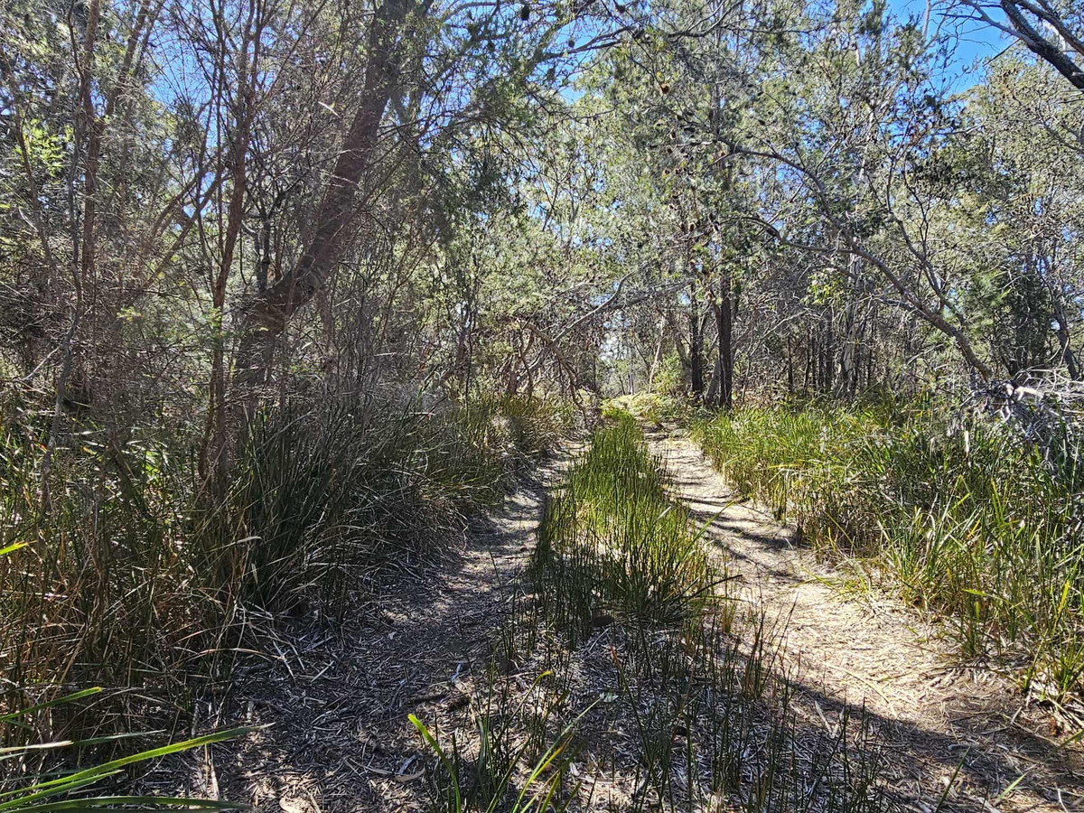 1434 Coles Bay Road, Coles Bay, TAS, 7215 - Image 10