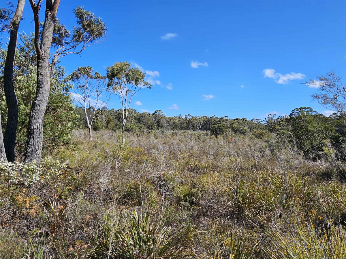 1434 Coles Bay Road, Coles Bay, TAS, 7215 - Image 2